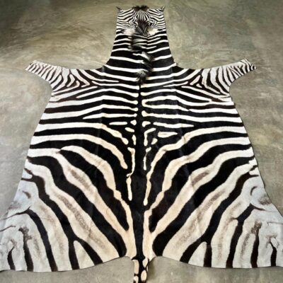B-Grade Burchell’s Zebra Hides - 2454809