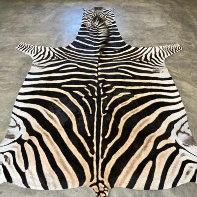 B-Grade Burchell’s Zebra Hides - 2454810