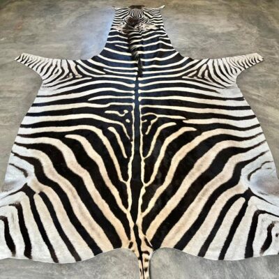 A-Grade Burchell’s Zebra Hides - 2454813