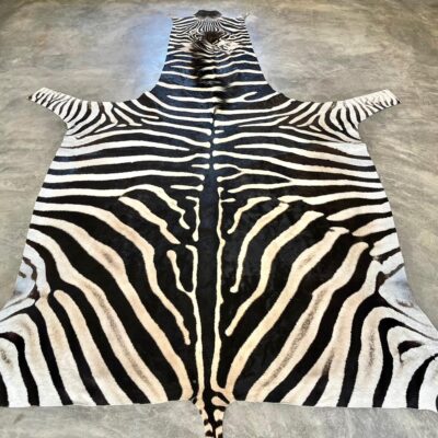 A-Grade Burchell’s Zebra Hides - 2454814